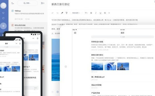 2024年網(wǎng)易有道軟件排行榜、免費試用技巧與設(shè)計開發(fā)趨勢全解析